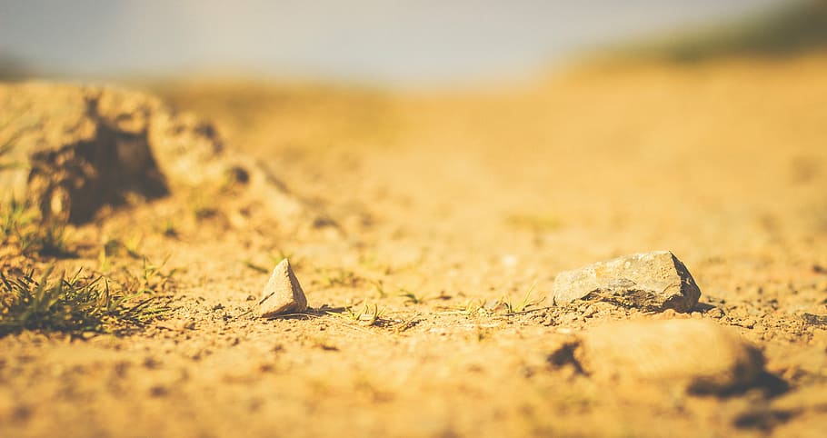 selective focus photography of brown rocks, ground, sand, desert HD wallpaper