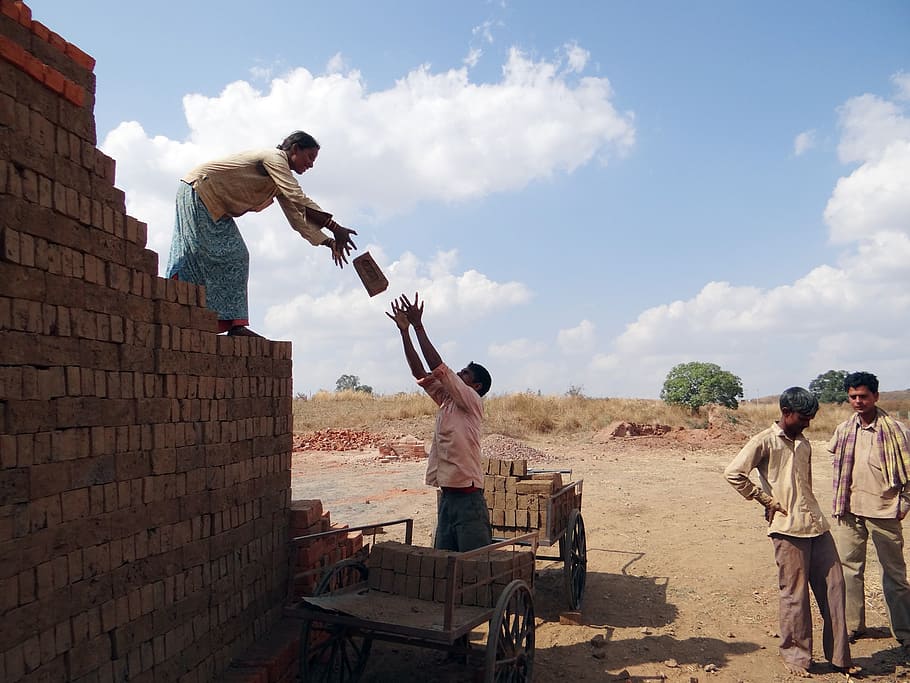 person's loading bricks on cart during daytime, workers, country-side HD wallpaper