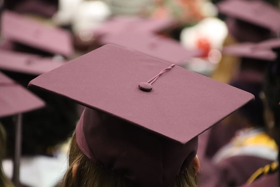 graduation cap, education, school, success, hat, graduate, mortar, HD wallpaper