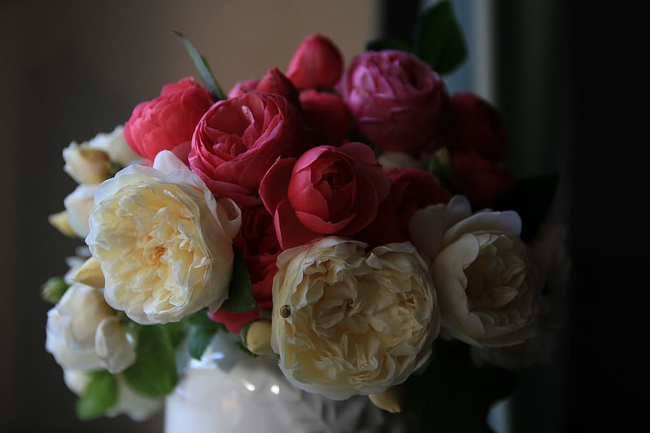 selective focus photography of white and red roses, bouquet HD wallpaper