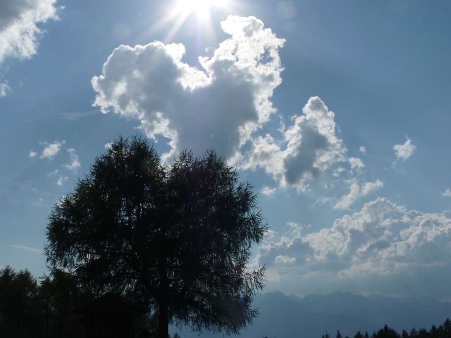 clouds, sky, sun, tree, plant, cloud - sky, beauty in nature HD wallpaper