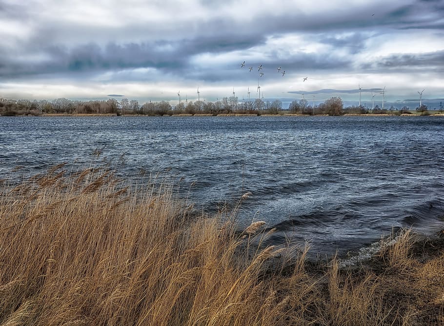 lake, wind, waters, landscape, nature, sky, panorama, covered sky HD wallpaper