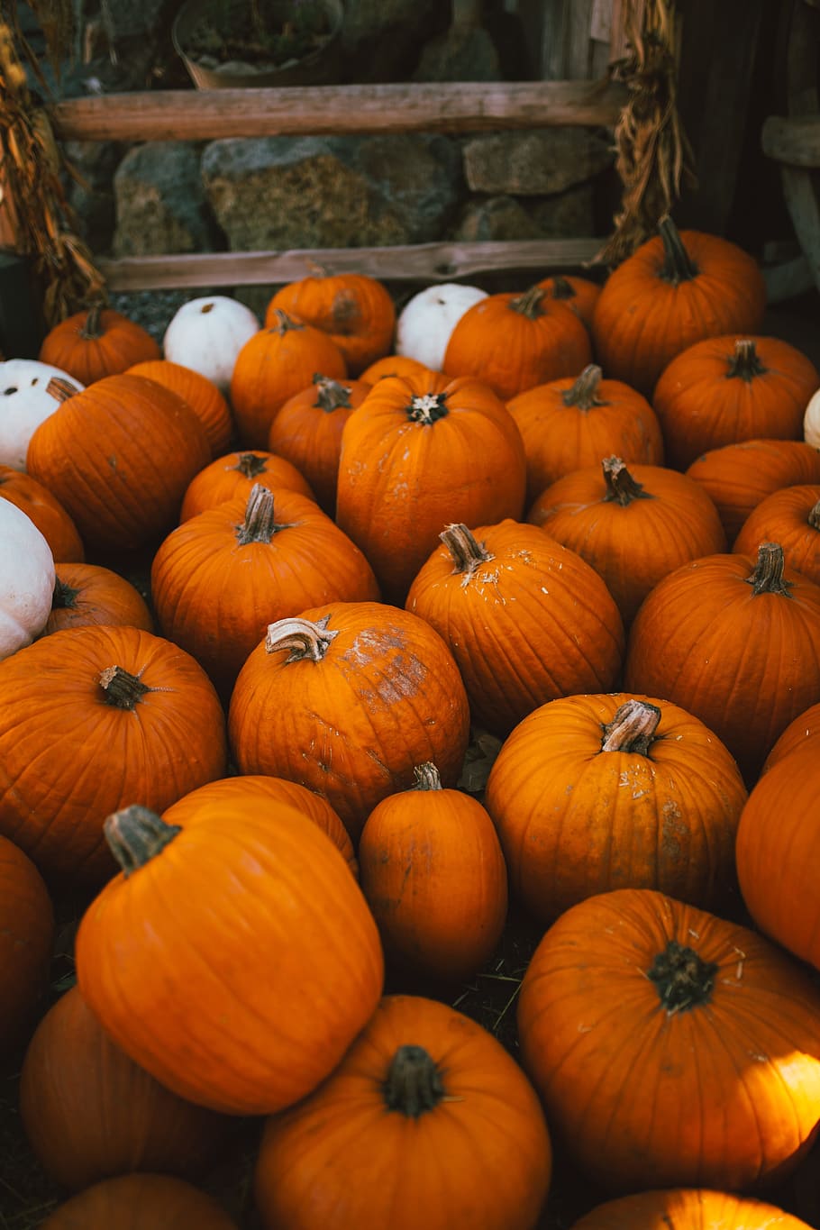 squash, vegetable, pumpkin, orange color, food, food and drink HD wallpaper