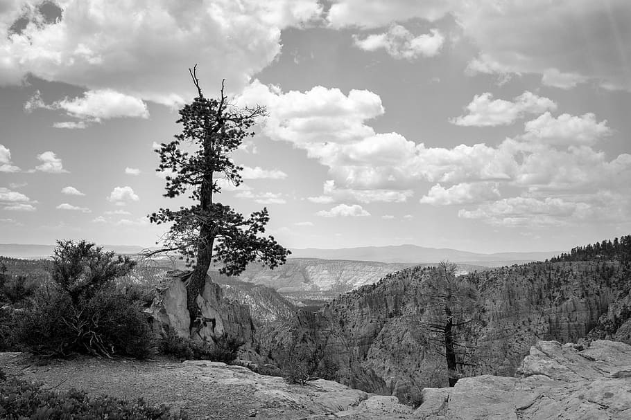 lone tree, mountains, sky, lonely, clouds, crags, rugged, landscape HD wallpaper