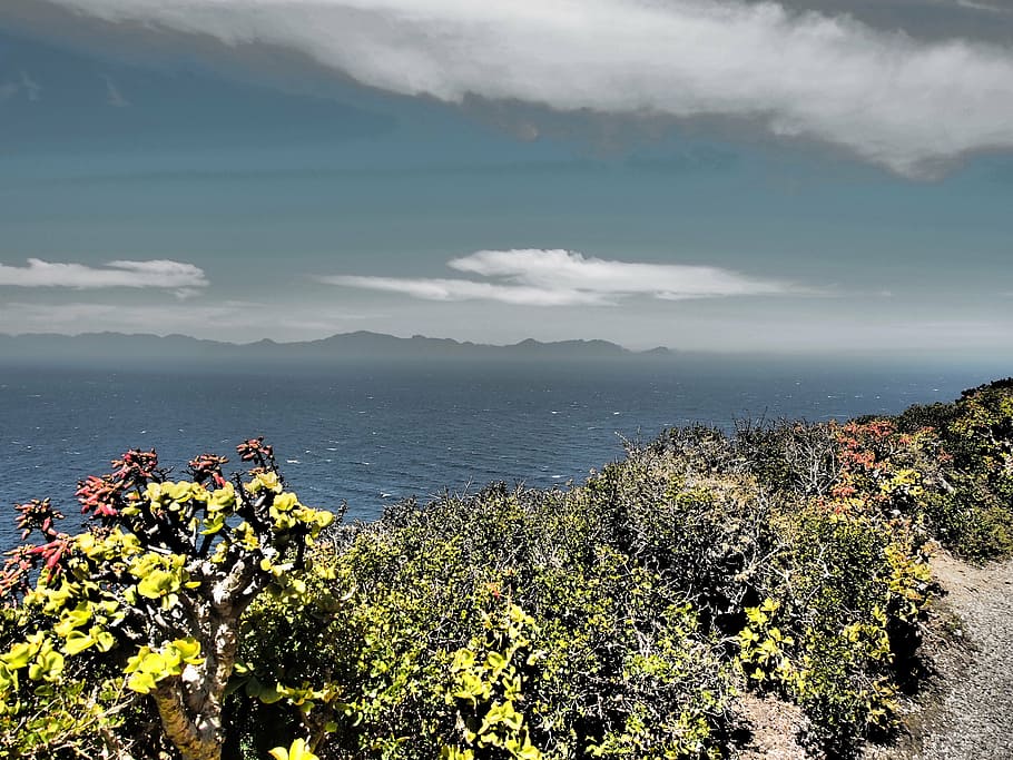 cape, sea, cape point, coast, cape of good hope, ocean, nature park HD wallpaper