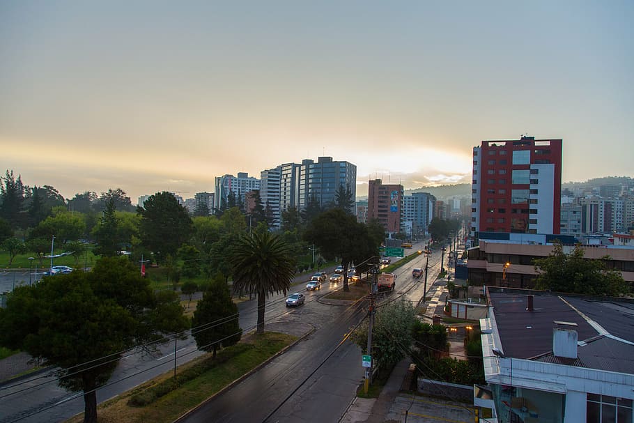 morning, view, clouds, dawn, street, park, tranquil, sky, sunrise HD wallpaper