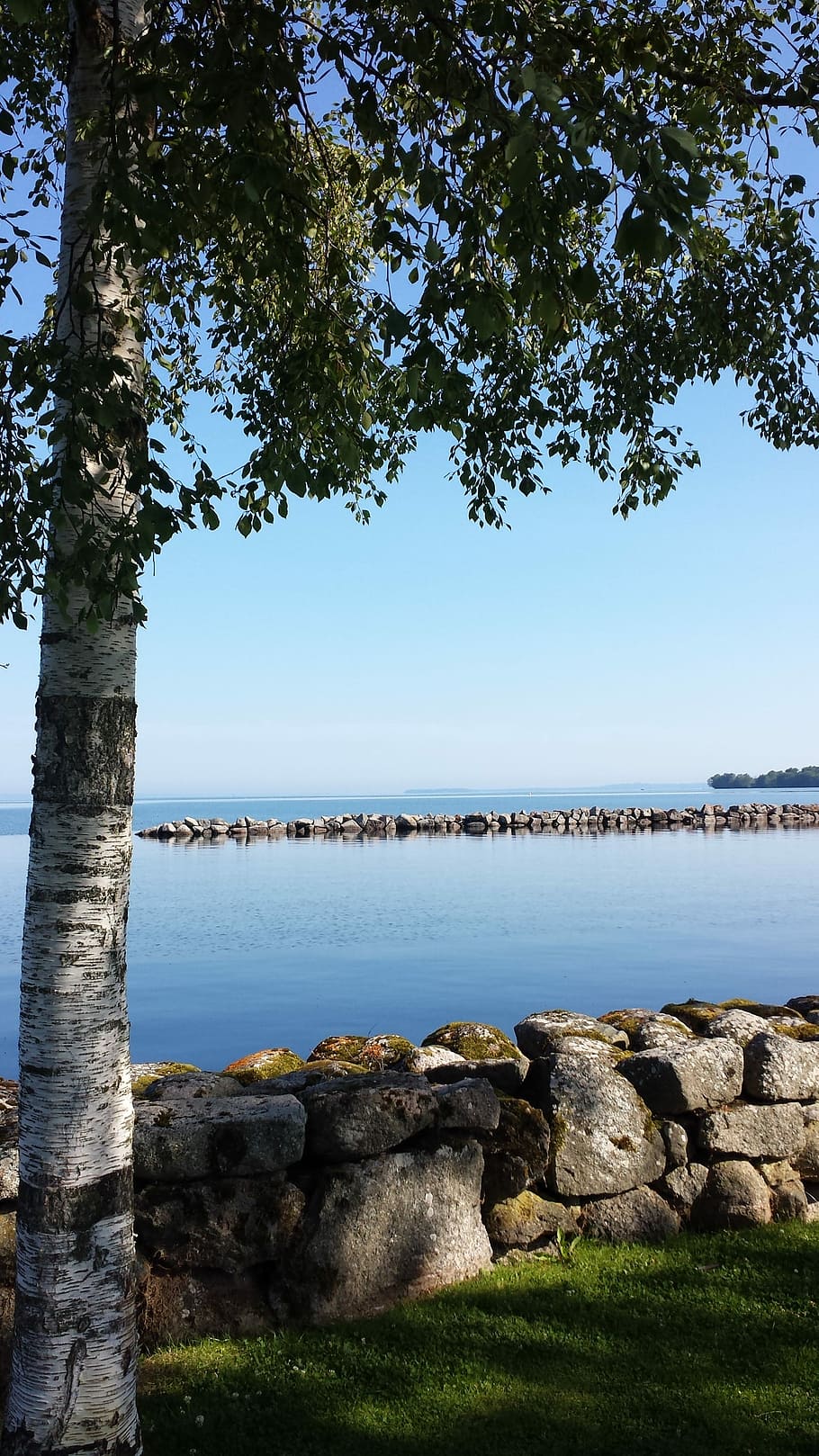 Birch, Stone Wall, Vadstena, tree, rock - object, water, nature HD wallpaper