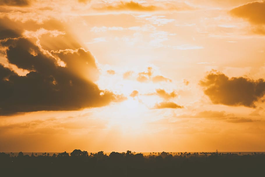 photo of clouds covering the sun, silhouette of trees under orange sky during golden hour HD wallpaper