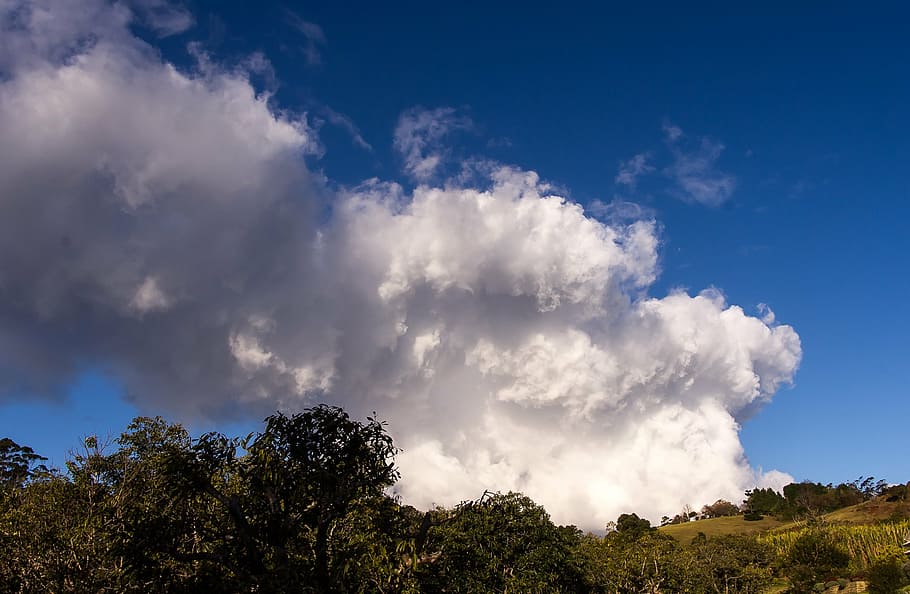 cumulus nimbus, cloud, white, large, blue, dramatic, weather HD wallpaper