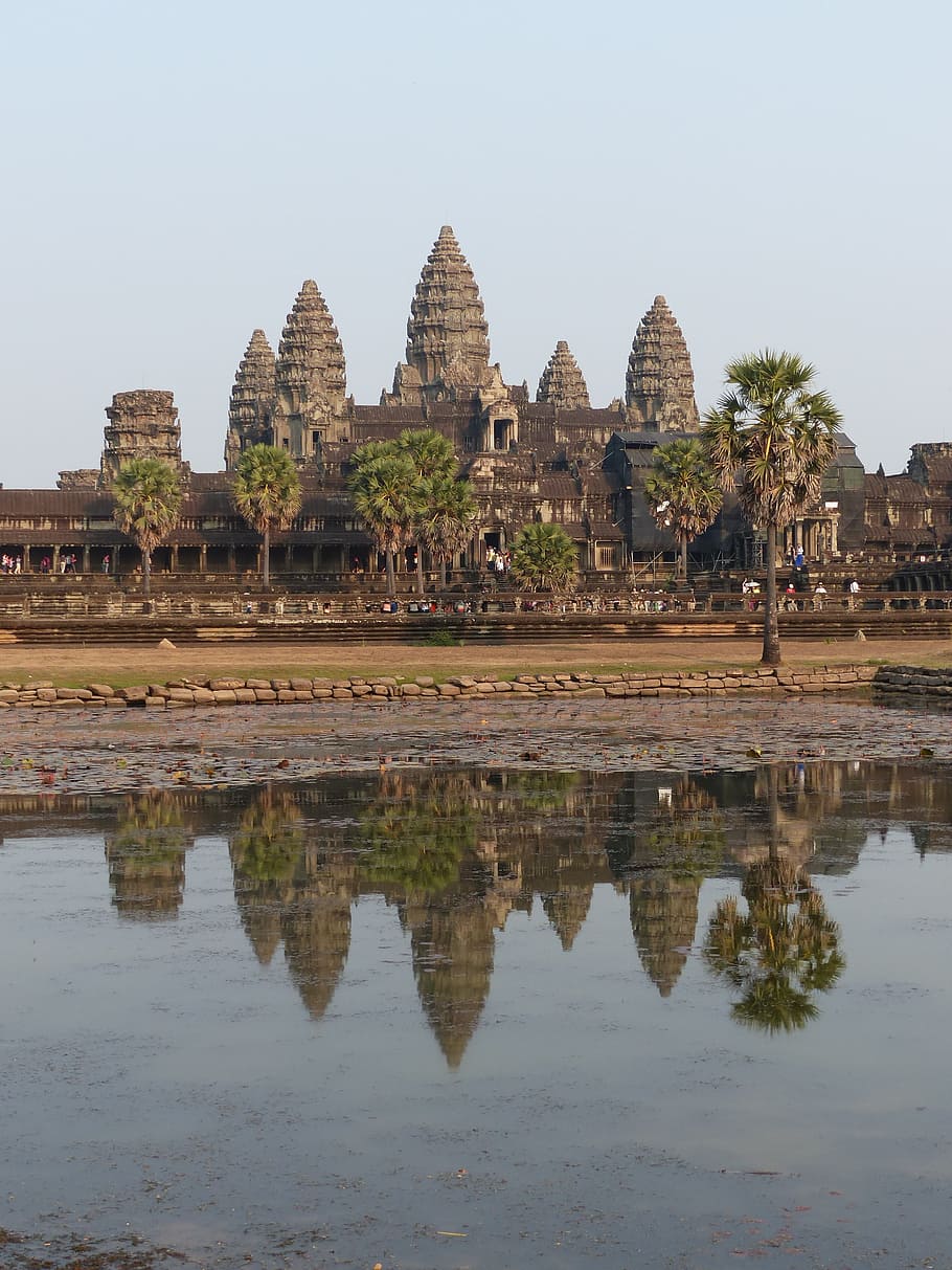 brown concrete building surrounded by trees, cambodia, angkor wat HD wallpaper