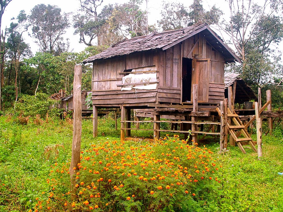 pile dwelling, crannog, stilt houses, hut, cabin, wooden, shack, HD wallpaper