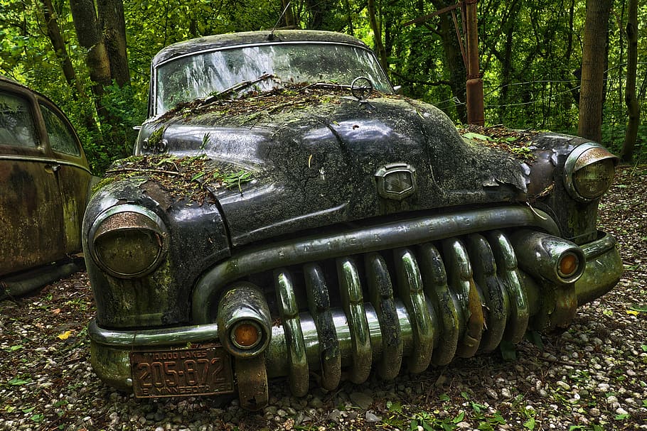 black vehicle parked near green trees, auto, car cemetery, oldtimer, HD wallpaper