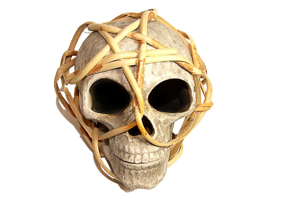 white skull decoration, skull and crossbones, skeleton, dead HD wallpaper