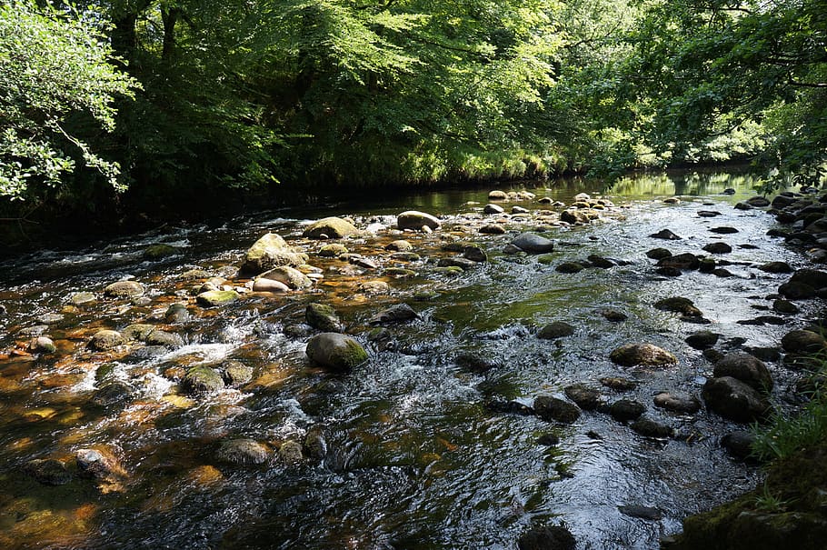 water, rocks, flow, river, stream, landscape, wilderness, scenery HD wallpaper