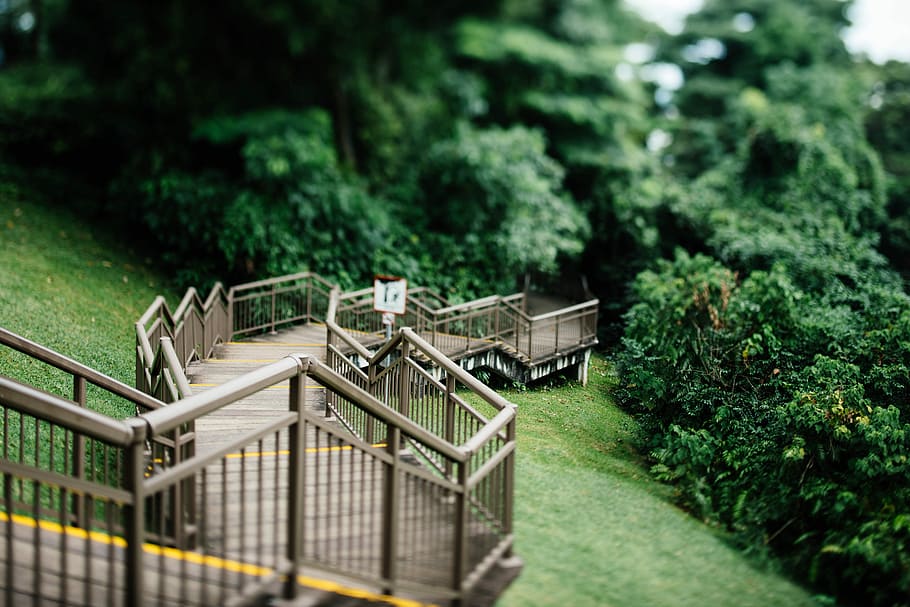 brown wooden staircase selective focal photo, selective focus photography of stairways HD wallpaper