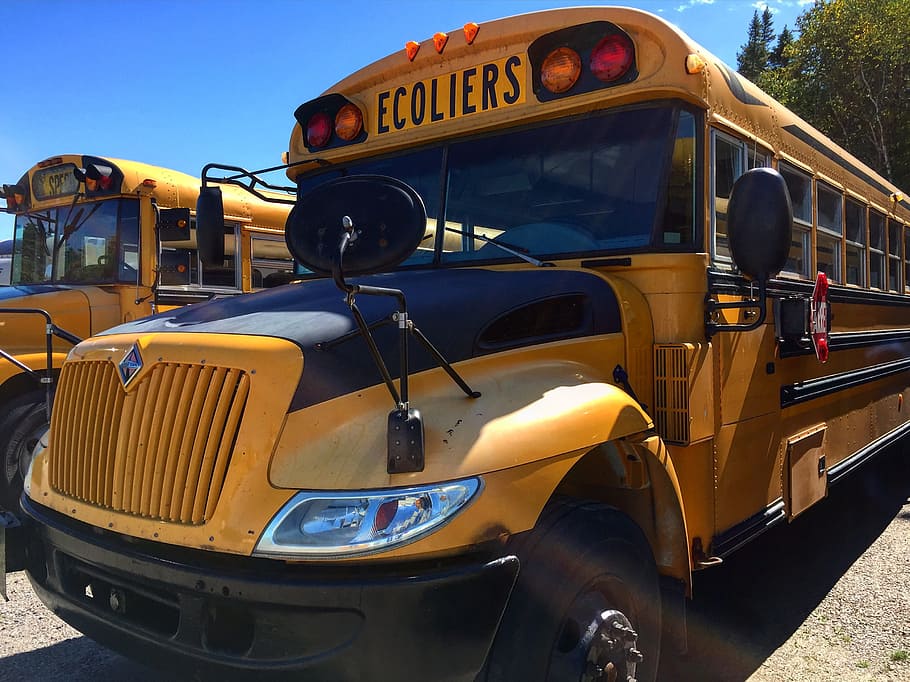 Bus, Canada, School, Public, chevrettes, transport, children HD wallpaper