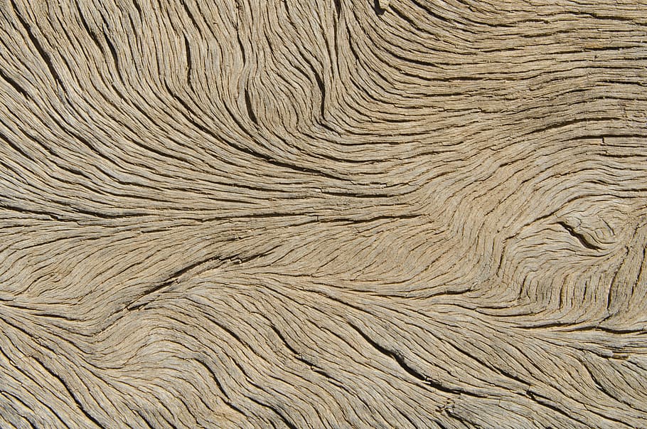 brown wood surface wallpaper, veins, texture, backgrounds, pattern HD wallpaper