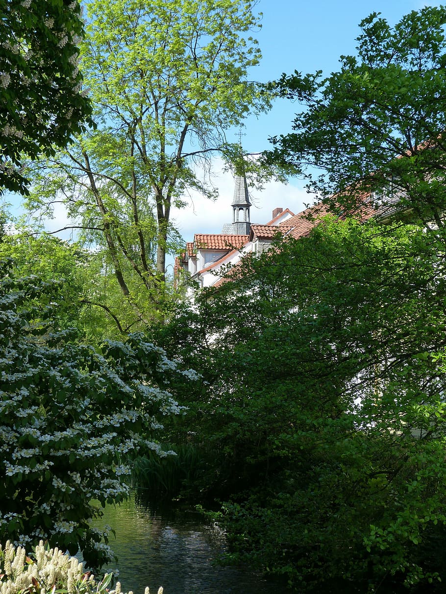 spring, city, detmold, romance, trees, plant, architecture HD wallpaper