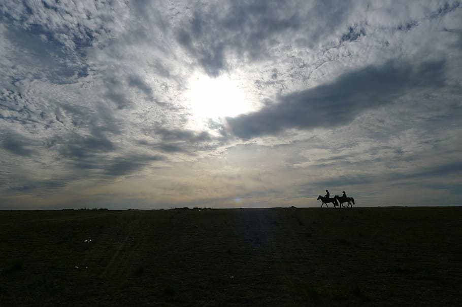 sky, silhouette, mongolia, cloud - sky, mammal, landscape, animal HD wallpaper