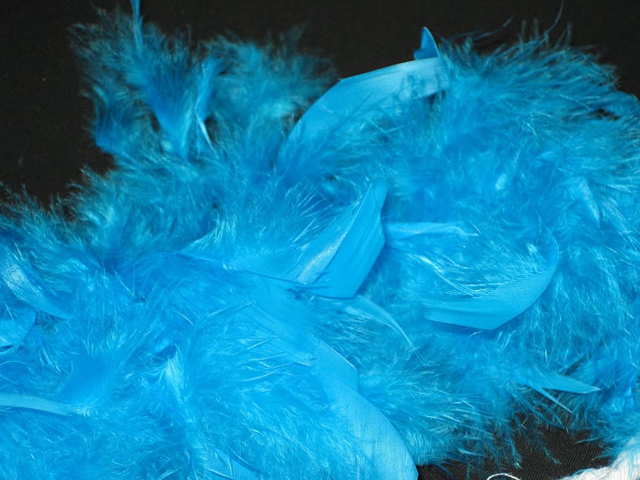 feather boa, blue, perlon, carnival, panel, no people, close-up HD wallpaper