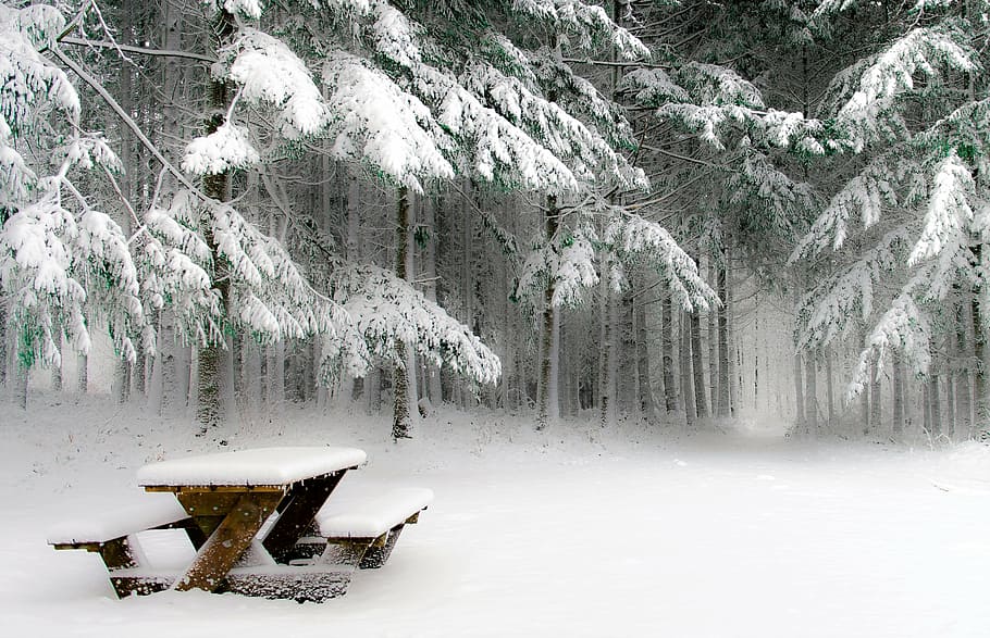 brown wooden picnic table, winters, snow, cold, nature, field HD wallpaper