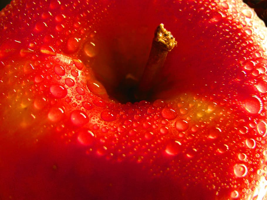 red apple, fruit, good, healthy, reg, fresh, diet, sweet, natural HD wallpaper