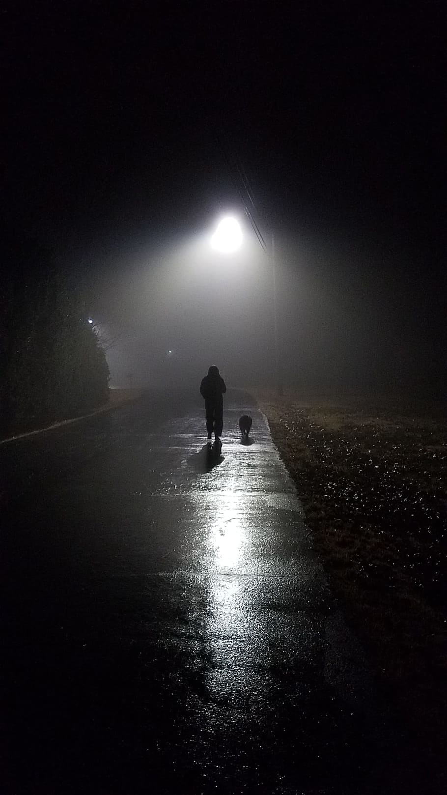 person jogging on road, Night, Fog, Dog, Evening, Black, Mist