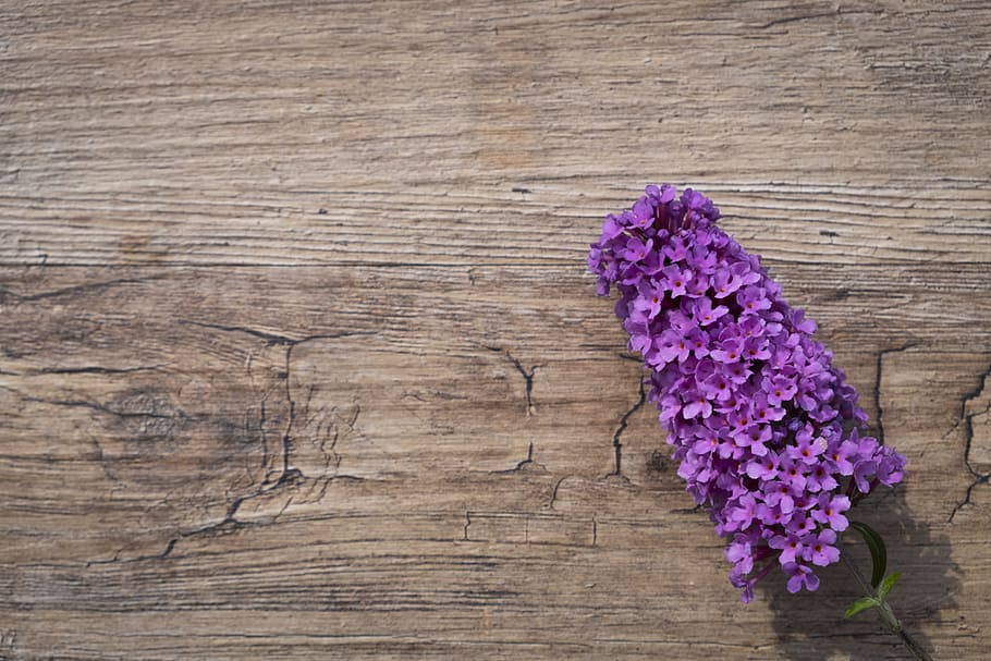 purple flower on brown wooden table-top, summer lilac, butterfly bush, HD wallpaper