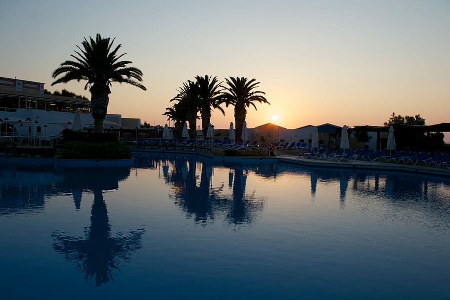 Pool, Reflection, Palm Tree, Crete, hotel, swimming pool, water HD wallpaper