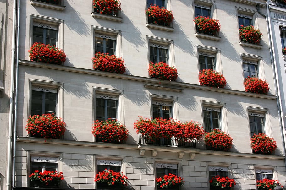facade, building, planters, cartier, paris, building exterior, HD wallpaper