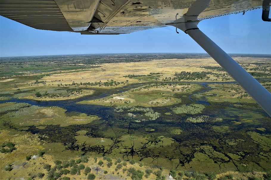 botswana, okavango, delta, maun, landscape, environment, scenics - nature HD wallpaper