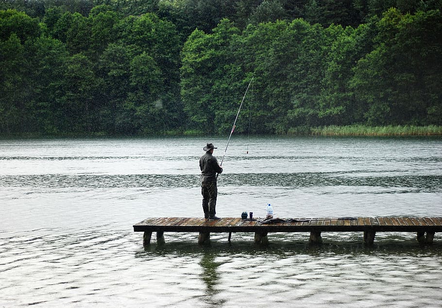 man fishing in the dock during daytime, angler, rain, hunting