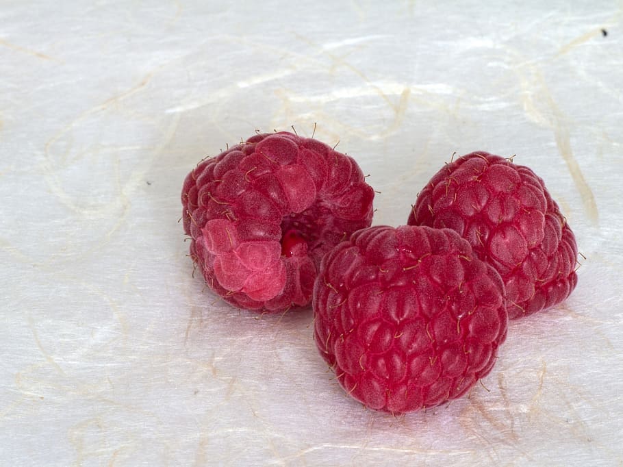 fruits, raspberry, close, red, food, food and drink, indoors HD wallpaper