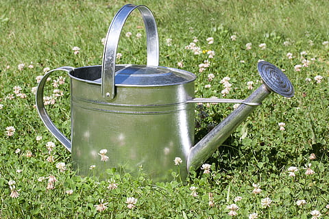 stainless steel watering can, sprinkler, vessel, casting, shower HD wallpaper