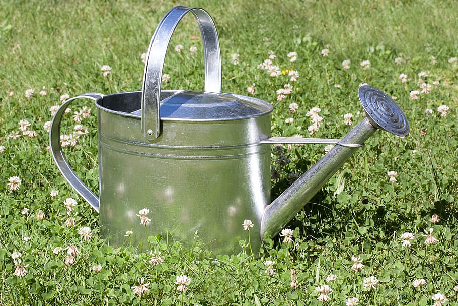 stainless steel watering can, sprinkler, vessel, casting, shower HD wallpaper