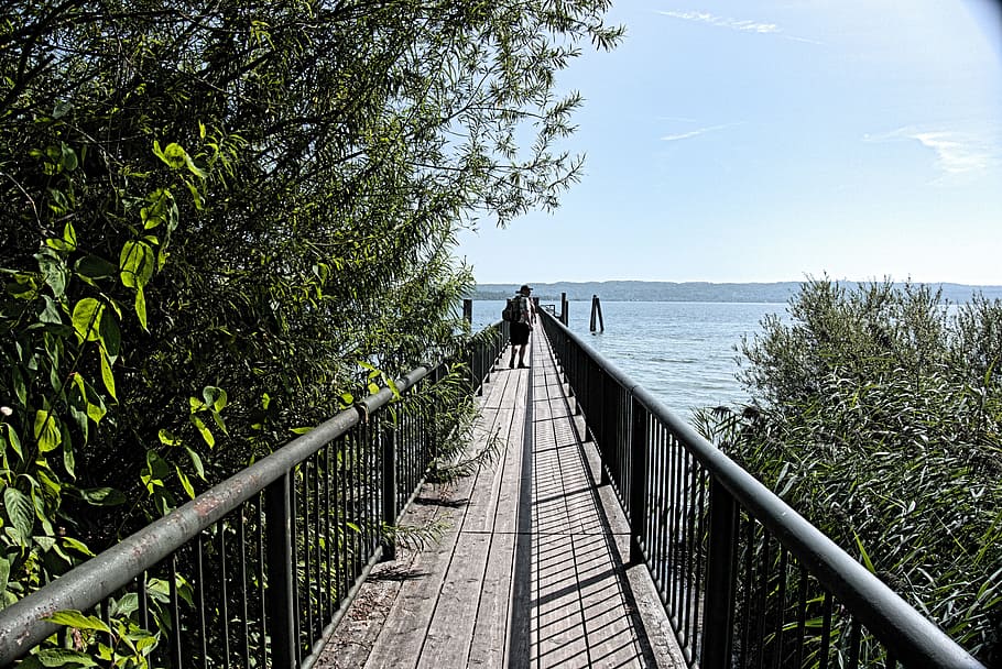 perspective, jetty, water, web, ammersee, plant, tree, nature HD wallpaper