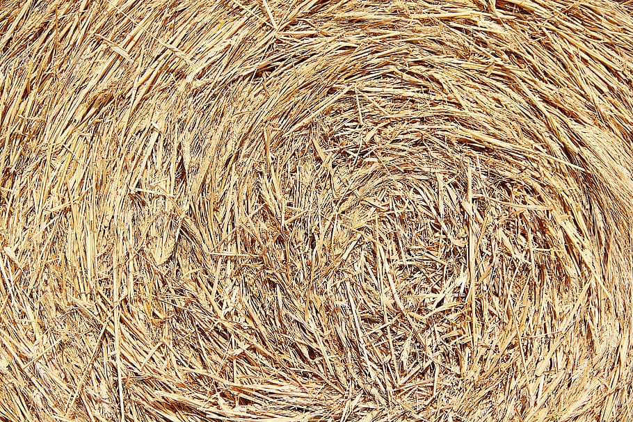close-up photo of hay bale, Texture, Straw, Background, natural material HD wallpaper