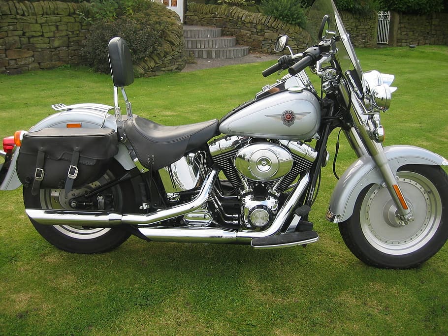 Harley, Davidson, Motorcycle, grass, day, outdoors, no people HD wallpaper