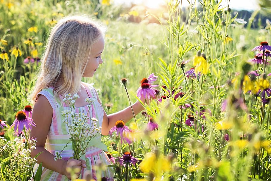 close photo of girl wearing pink and white stripe crew neck sleeveless dress while looking at purple daisy flowers during sunrise