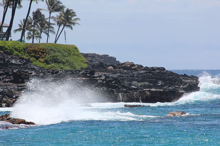 tropical, beach, waves, ocean, surf, water, sea, beauty in nature HD wallpaper