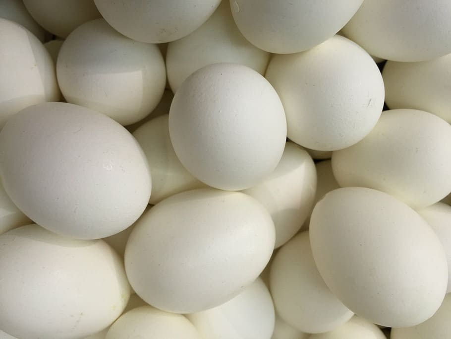goose egg, geese eggs, easter egg, decoration, spring, deco-ei HD wallpaper