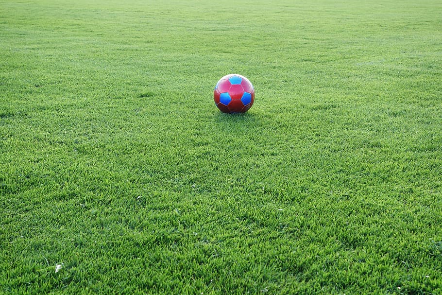 red and blue soccer ball on grass field, football, sports ground, HD wallpaper