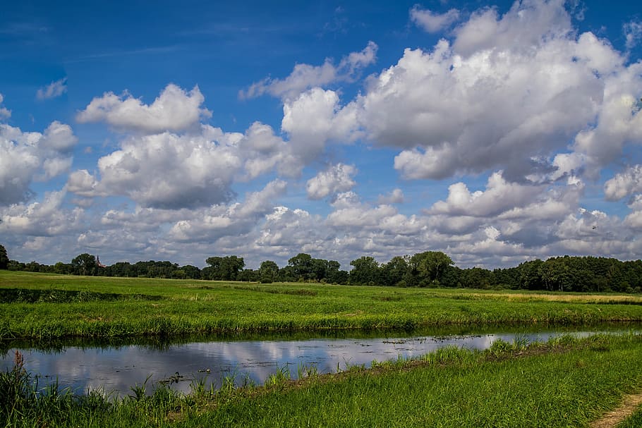 sky, clouds, river, grass, landscape, water, bäüme, cloud - sky HD wallpaper