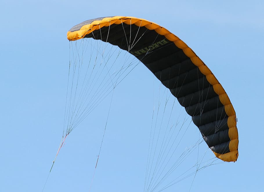 kite, dragon, fly, windscreen, steering kite sailing, extreme Sports HD wallpaper