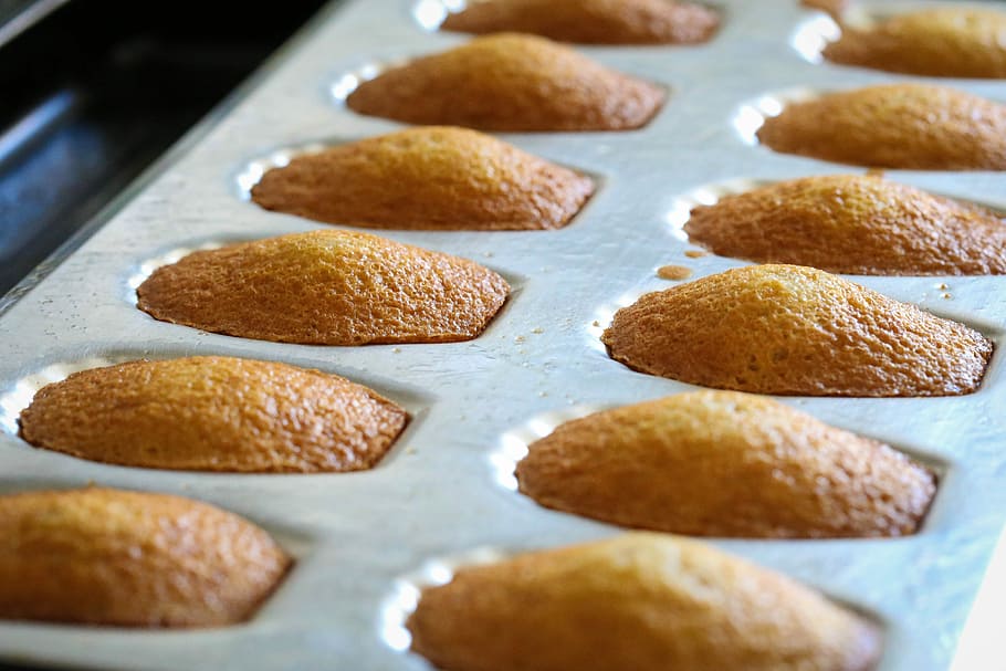 baked cupcakes, closeup photography of muffins, madeleine, sponge HD wallpaper