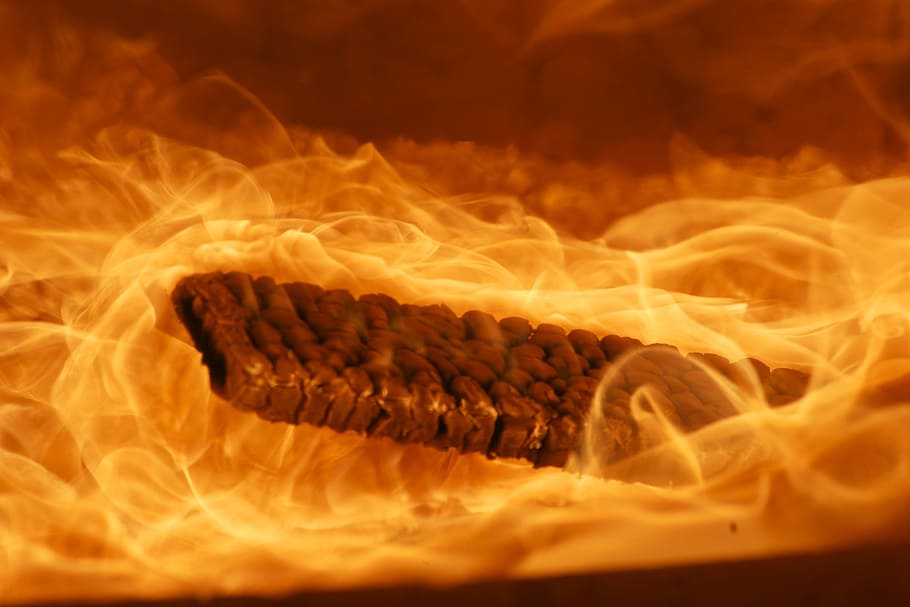 fire, wood fire, flame, burn, brand, no people, heat - temperature HD wallpaper