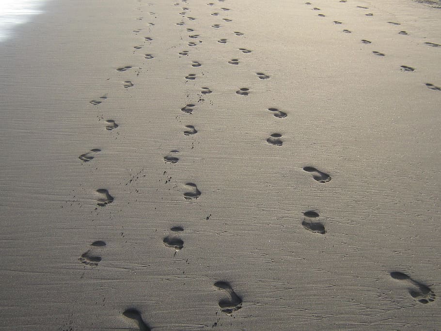 footprints, sand, beach, high angle view, land, nature, no people HD wallpaper