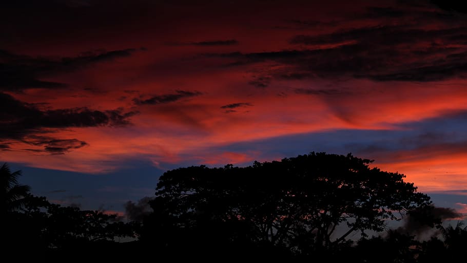 nature, sky, cloud, trees, sun, cloud - sky, silhouette, sunset HD wallpaper