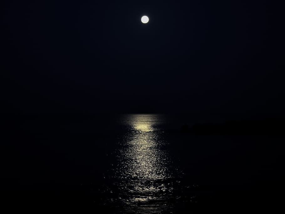 moon, moonlight, sea, reflections, night, sky, nature, lunar HD wallpaper
