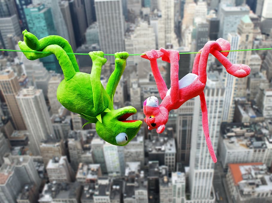 Pink panther and Kermit the frog plush toys on green string across city building